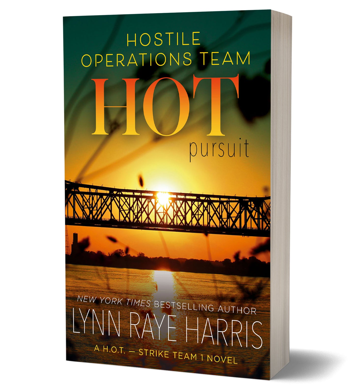 HOT Pursuit (Discreet Paperback)