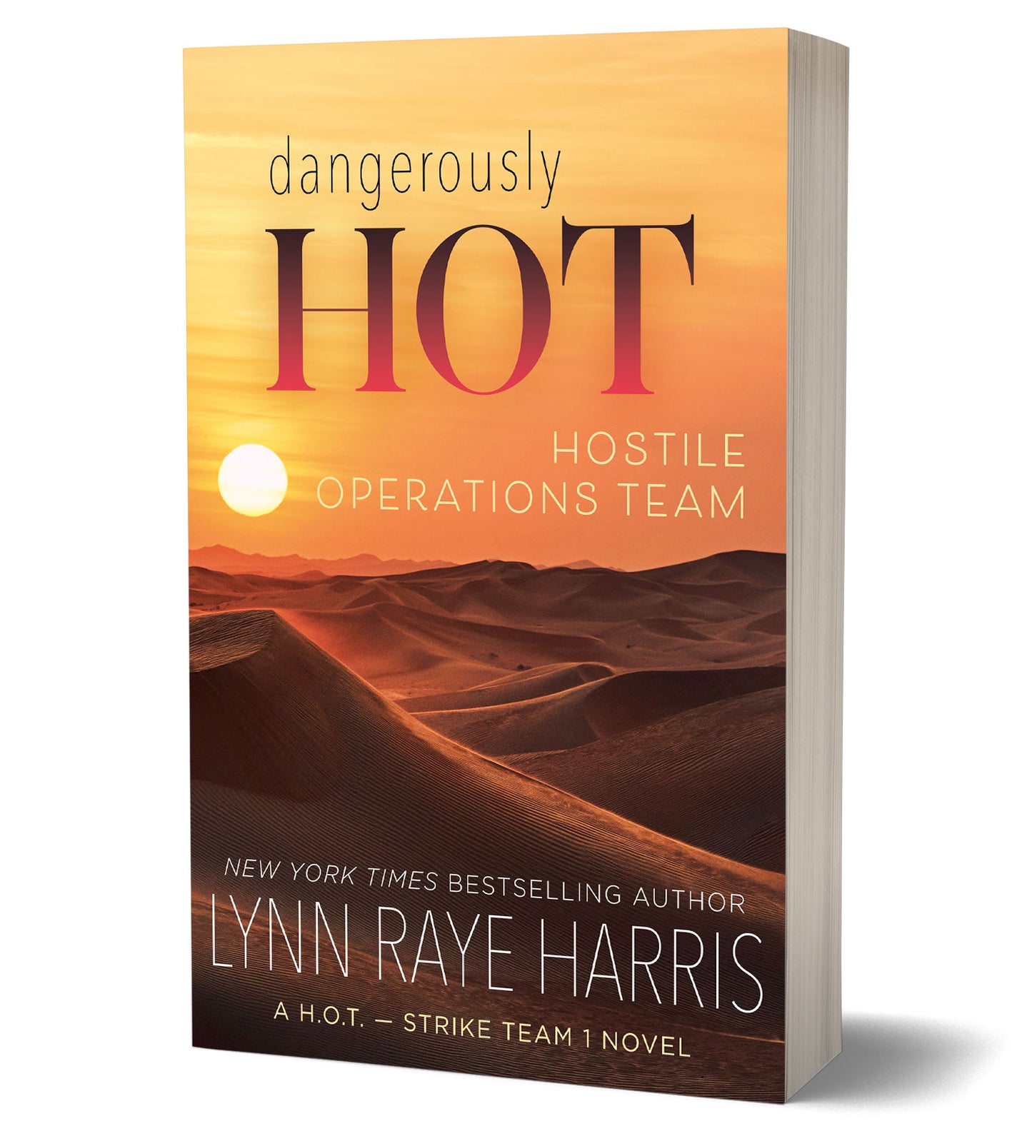Dangerously HOT (Discreet paperback)
