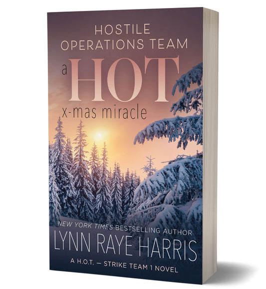 A HOT Christmas Miracle (Discreet paperback)